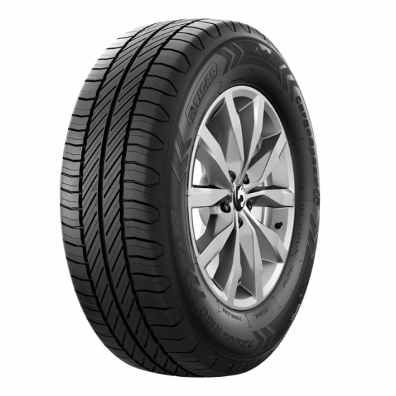 225/65R16C 112/110R TL CARGOSPEEDEVO