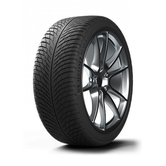 225/55R17 101V XL TL ALPIN 5