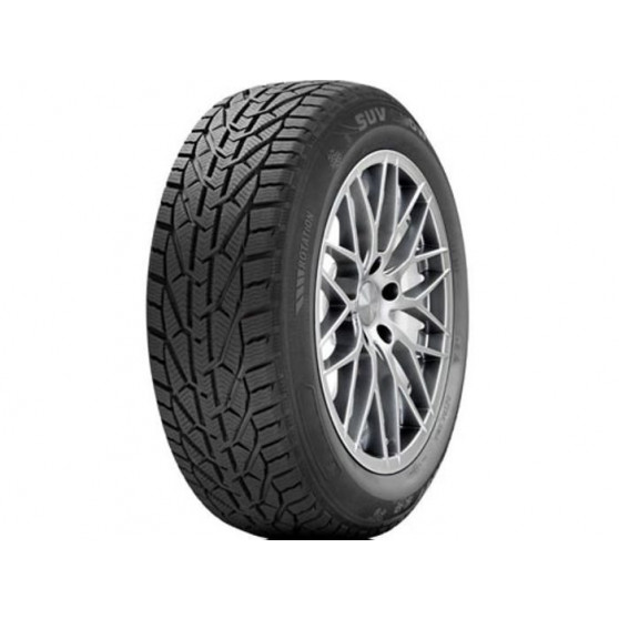 205/45R17 88V XL TL WINTER