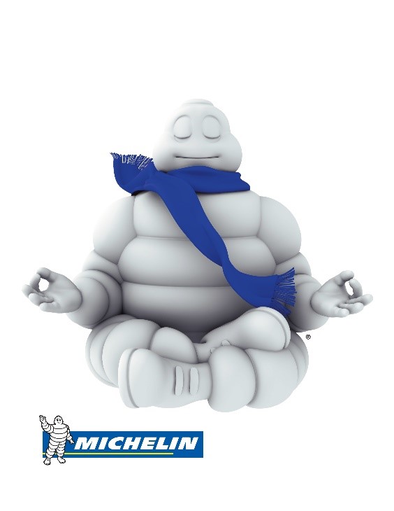 Michelin car tires logo